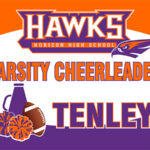 Varsity Cheerleader Horizon Hawks